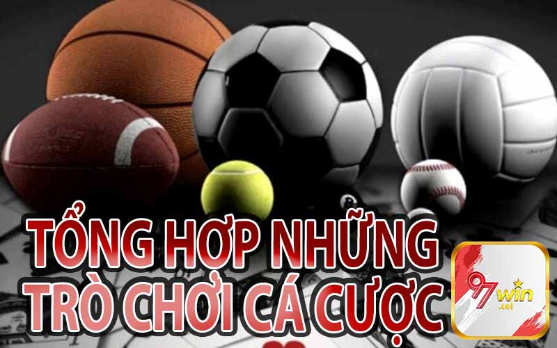 Tổng Hợp Những Trò Chơi Cá Cược 
