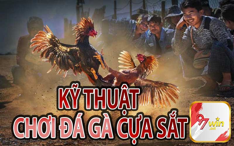 Kỹ Thuật Chơi Đá Gà Cựa Sắt